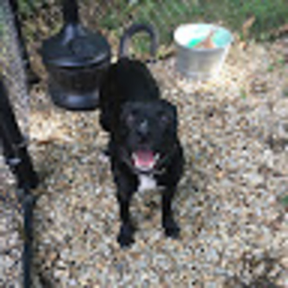 Meet your Posher, Jaime - Picture 1 of 1